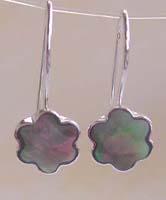 summer fashion jewelry showcase , sterling silver hook earring with flower abalone seashell